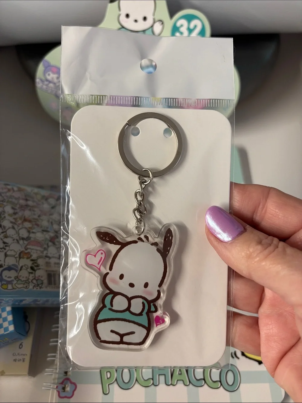 Pochacco - Mint & Pastel Accessories